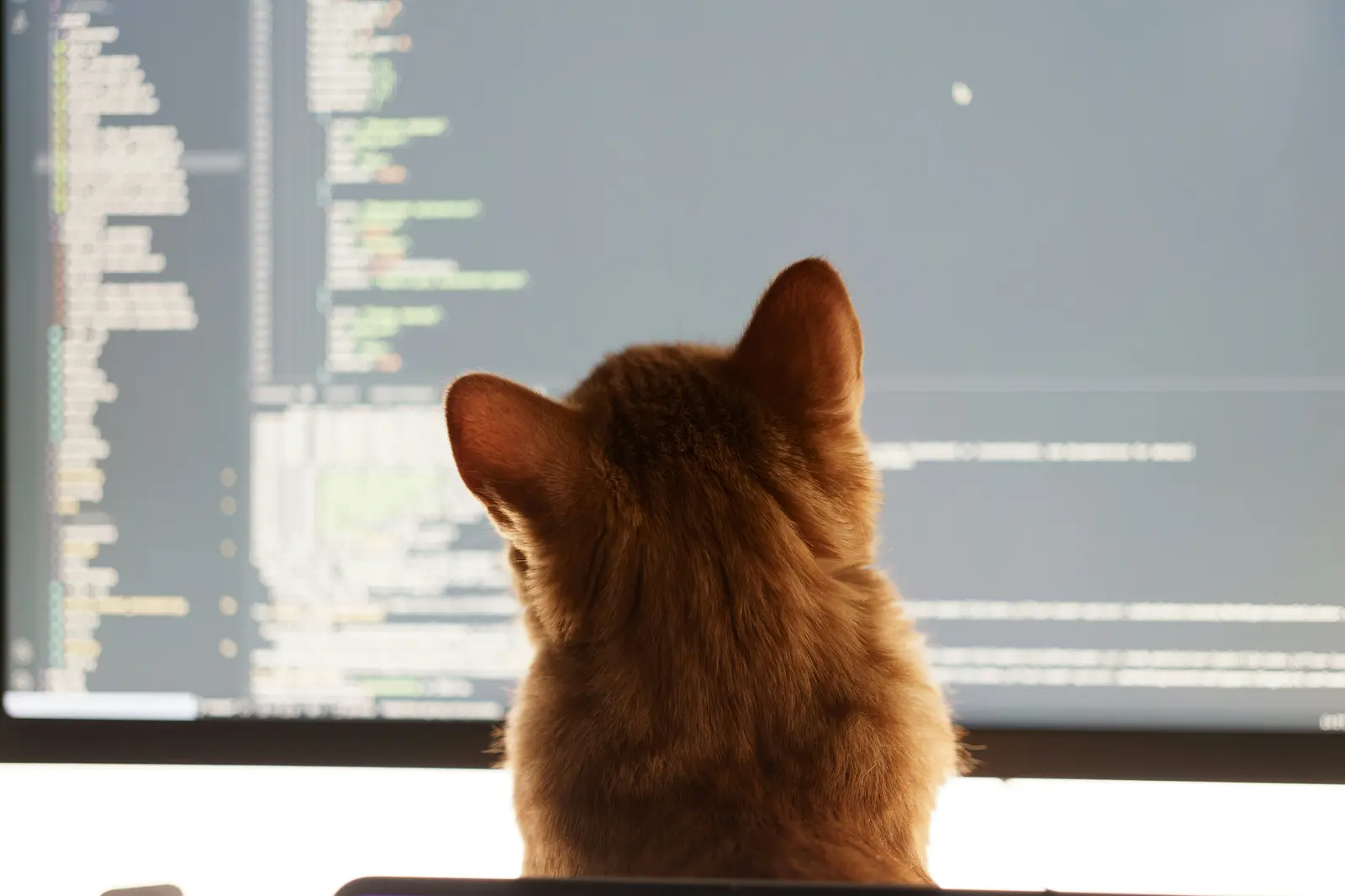You're Not Learning to Code. You're Learning What Breaks.
